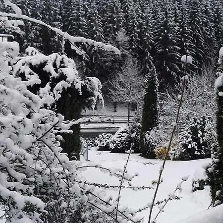 Im Sauerland 1 Casa de Férias Meschede