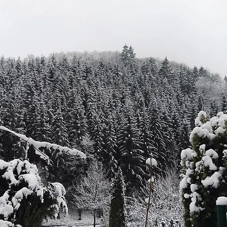 Im Sauerland 1 Meschede
